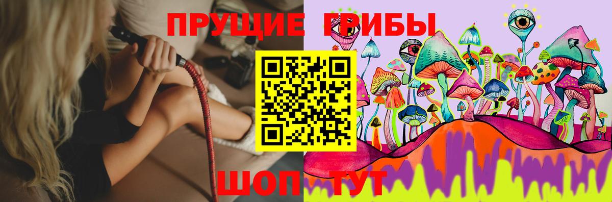 купить закладку  Галлюциногенные грибы мухоморы  Вход с VPN  Мценск 